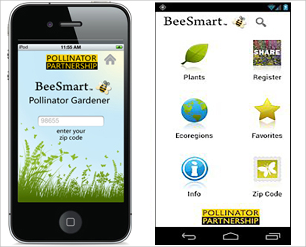 اپلیکیشن BeeSmart Pollinator Gardener باغبان گرده افشان هوشمند زنبور عسل