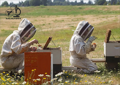 علائم و تشخیص ویروس فلج مزمن زنبور عسل (CBPV)