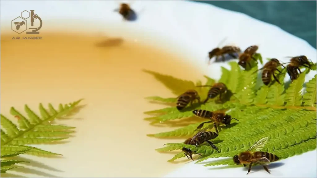 ظرف کم عمق تغذیه