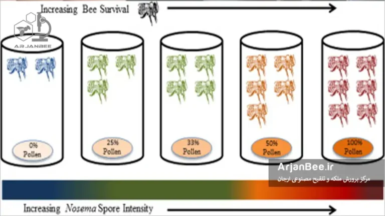 تاثير غلظت گرده بر عفونت نوزما