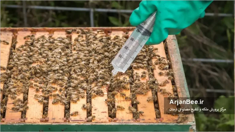 استفاده از اسید اگزالیک