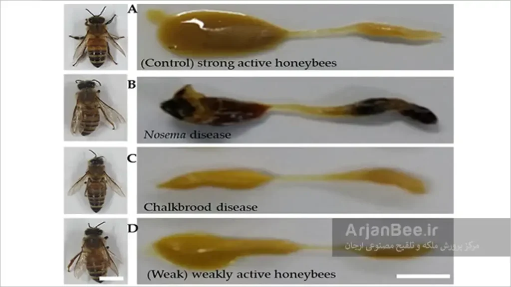 پیشگیری و کنترل بیماری نوزما