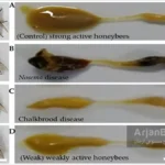 پیشگیری و کنترل بیماری نوزما