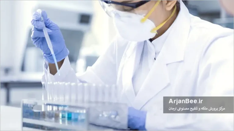 کشف داروی بیماری ویروسی زنبور عسل