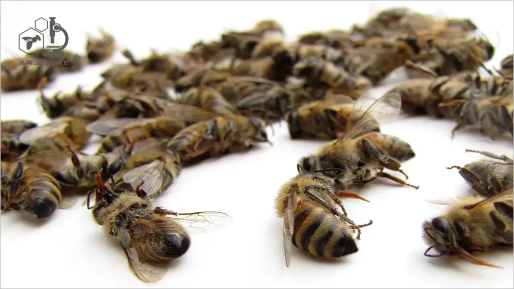 کاهش خطر سموم کشاورزی برای زنبور عسل