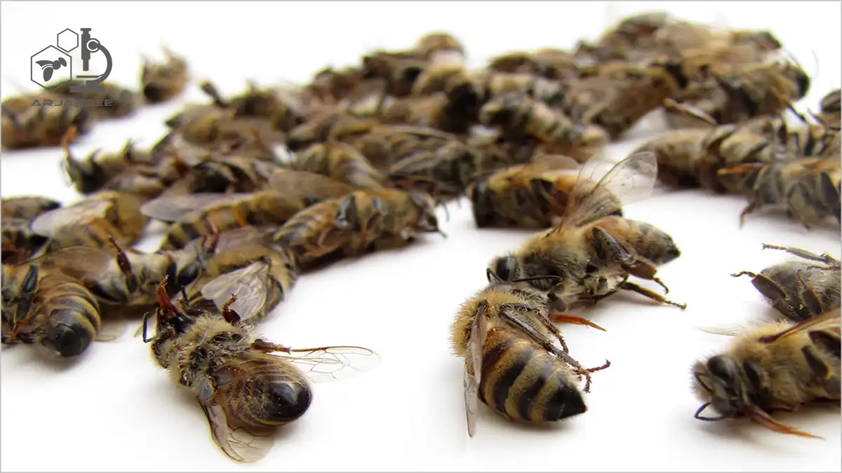 مسومیت زنبورهای عسل با آفت کش های کشاورزی 9 مسمومیت زنبورعسل با سموم کشاورزی