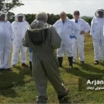 کار علمی زنبورداران