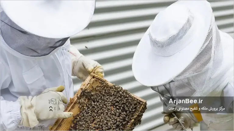 زنبورداران محقق