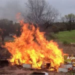 آتش زدن کندوهای الوده به بیماری لوک امریکایی