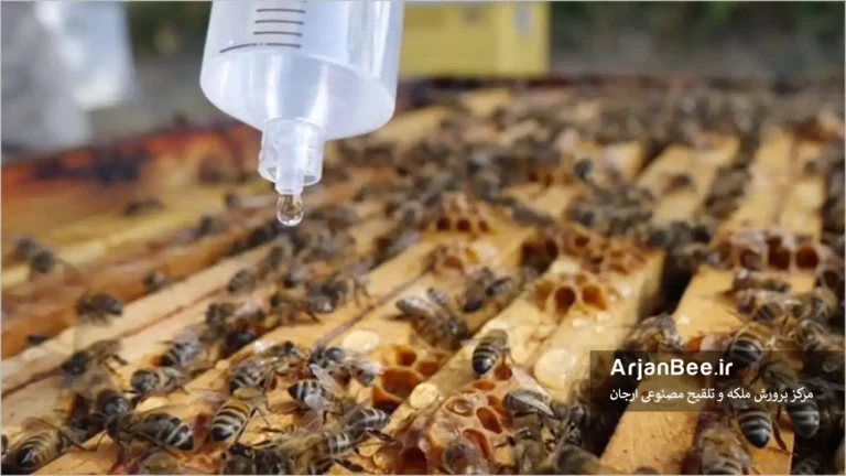 تاثیر کنترل کنه با اسید فرمیک