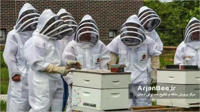 زنبورداران در حال تحقیق و آزمایش