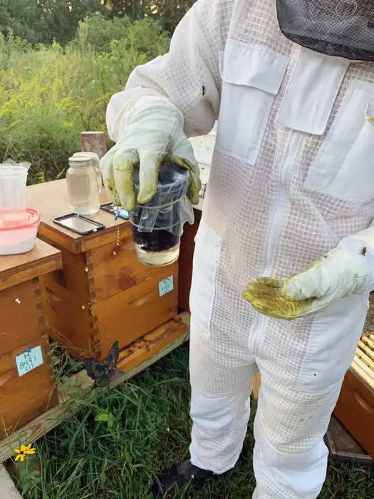 تشخیص میزان آلودگی کلنی به کنه واروآ با استفاده از الکل 10