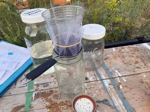 تشخیص میزان آلودگی کلنی به کنه واروآ با استفاده از الکل 11