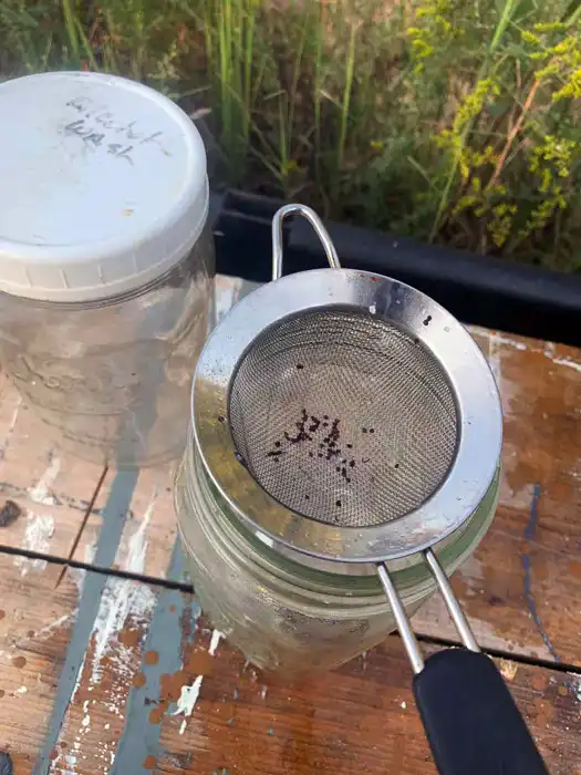 تشخیص میزان آلودگی کلنی به کنه واروآ با استفاده از الکل 13