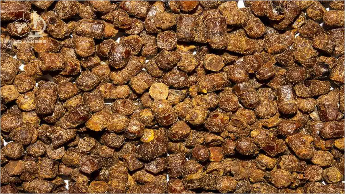 نان زنبور عسل