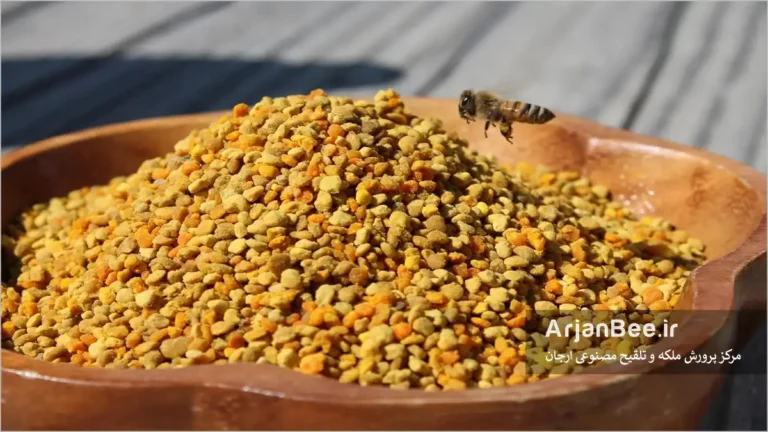 افزایش تولید گرده گل در زنبورستان