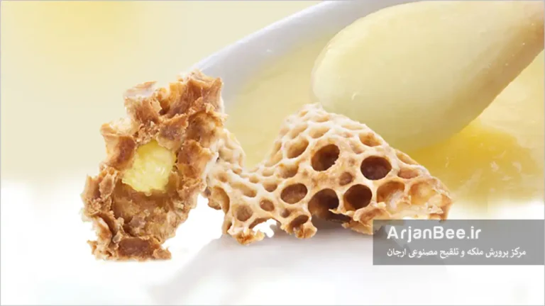 تولید و جمع آوری ژله رویال