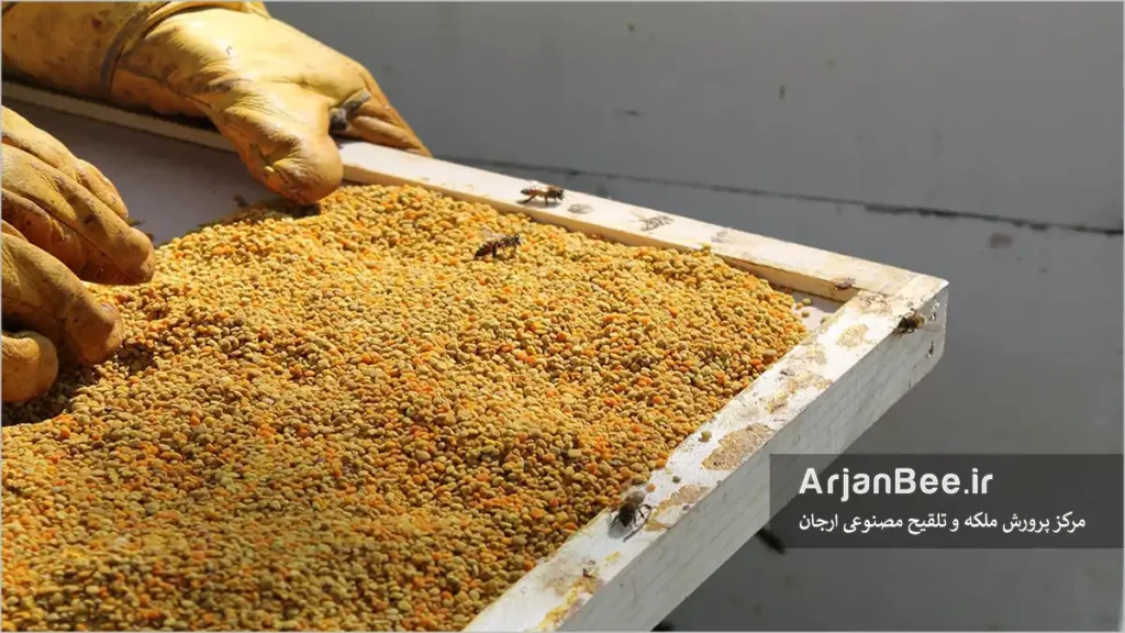 جمع آوری گرده گل