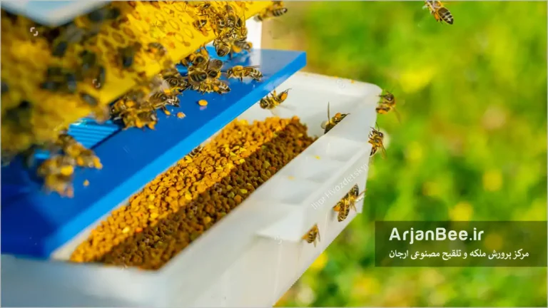 چمع آوری گرده گل با تله گرده گیر