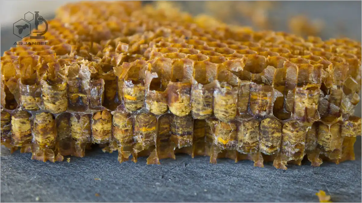 نان زنبور عسل