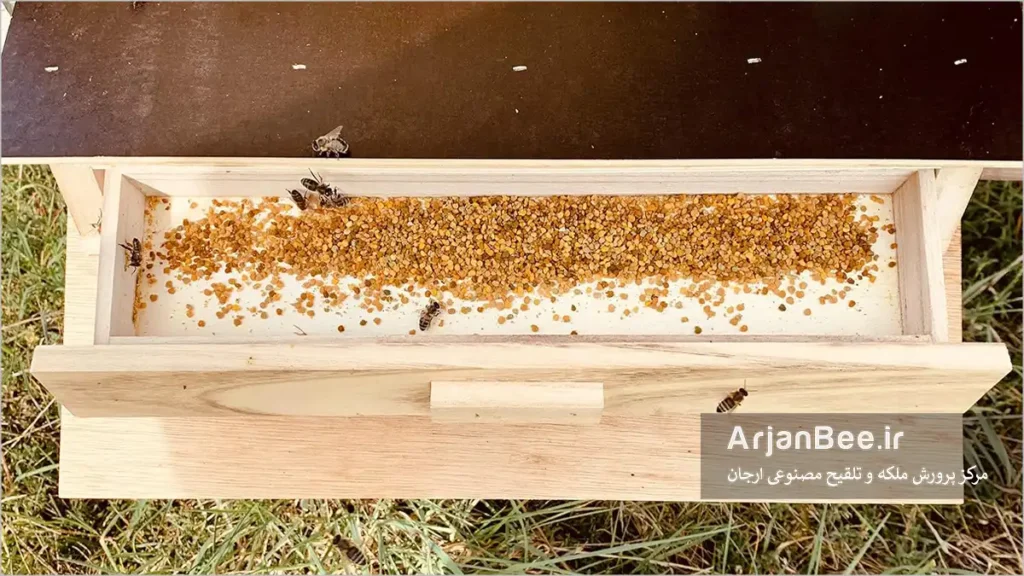 نمونه هایی از تله های گرده گیر موجود در بازار