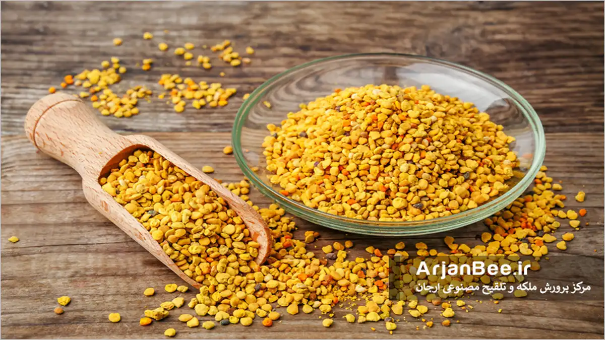 گرده زنبور عسل