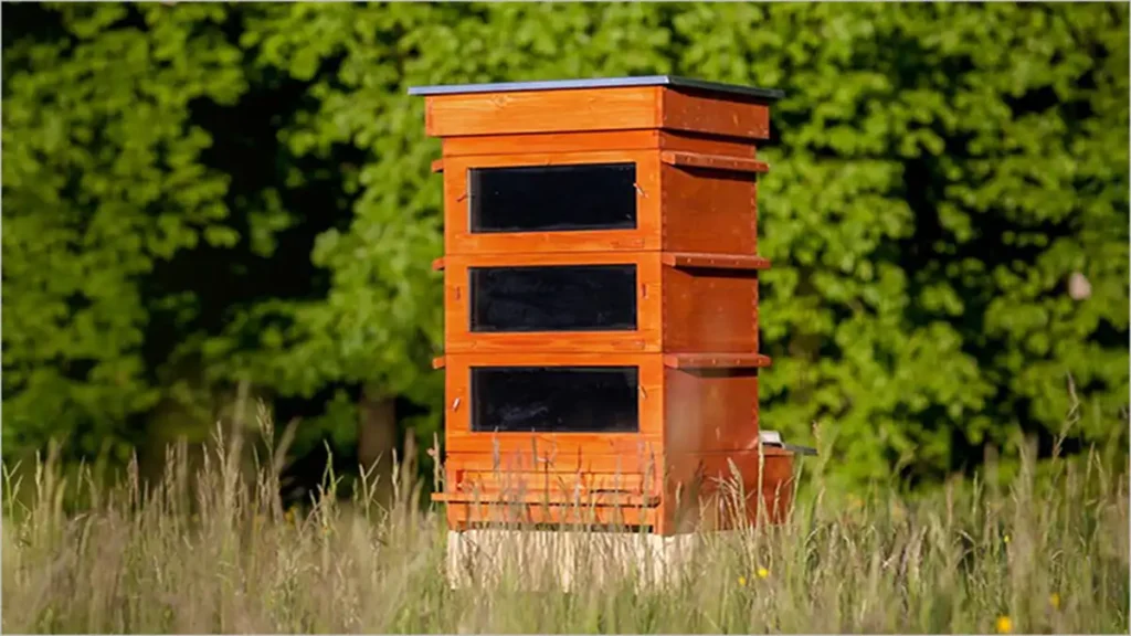 با فناوری های جدید مدیریت زنبورداری آشنا شوید 3 کندوی مدرن ترموسولار برای کنترل کنه های واروآ