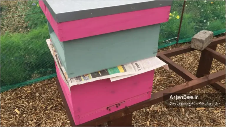 ادغام کندوهای زنبور عسل