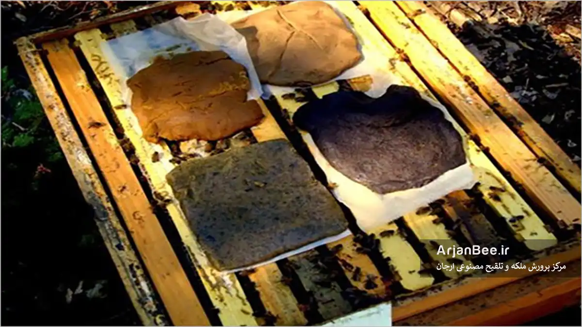 تغذیه زنبور عسل در آخر زمستان و اول بهار