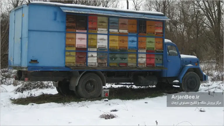 نکات ﻣﻬﻢ در اﻧﺘﻘﺎل و جابجایی ﮐﻨﺪوها