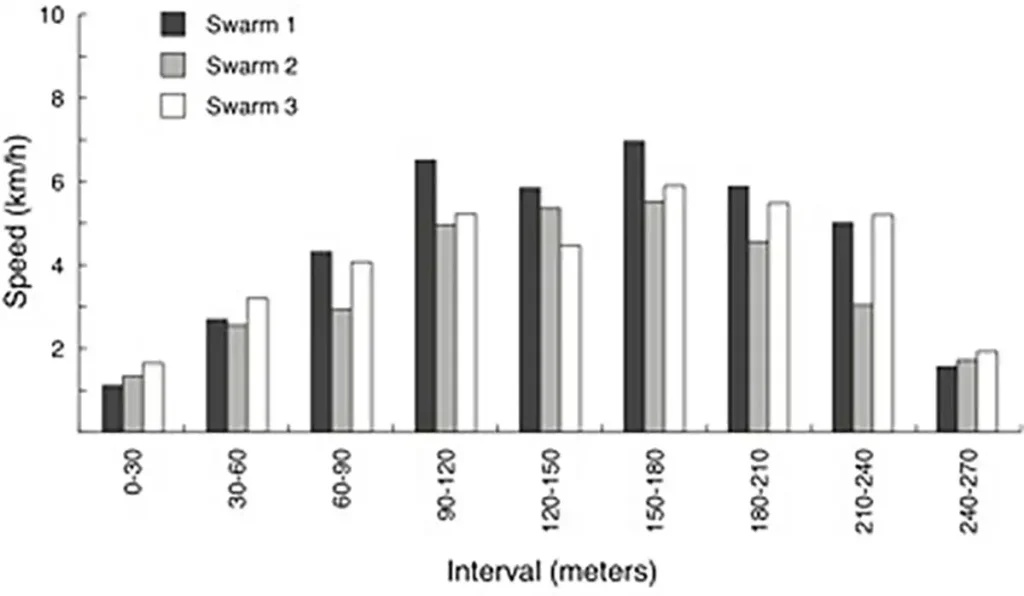 شکل ۵. سرعت پرواز سه دسته زنبور در مسیر ۲۷۰ متری (۸۸۰ فوتی) به سمت کندوی طعمه