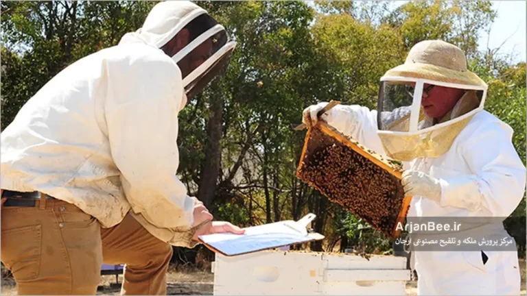 رکوردگیری و ارزيابي عملكرد ملکه و کلنی های زنبورعسل