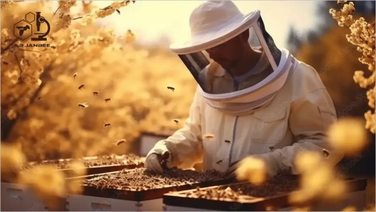 نقش زنبوردار در جلوگیری از گرسنگی کلنی ها