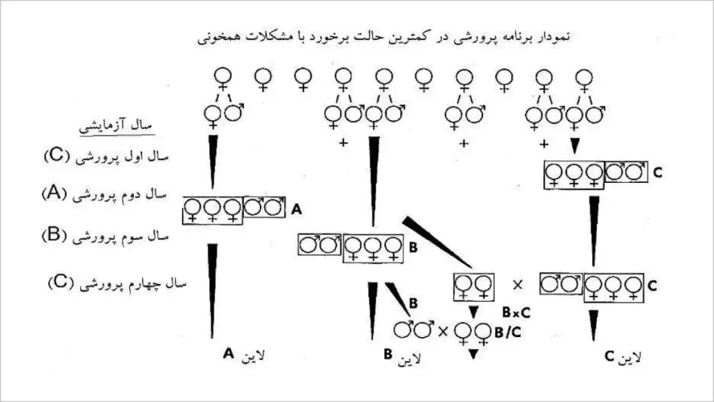 اصول اصلاح نژاد در برنامه پرورش ملکه