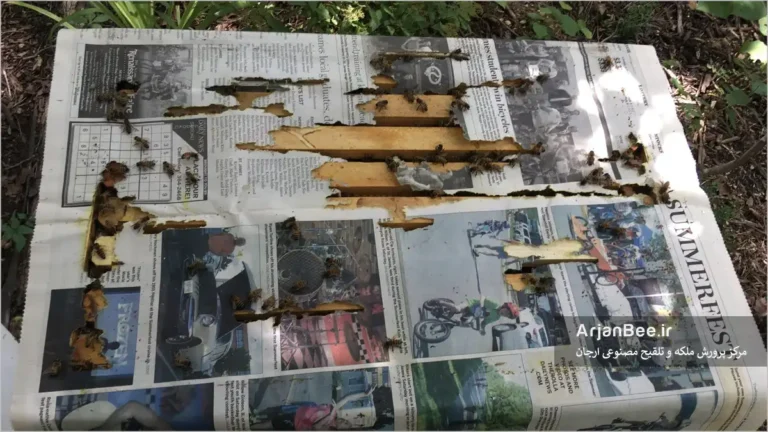 ادغام کردن کلنی ها با روزنامه