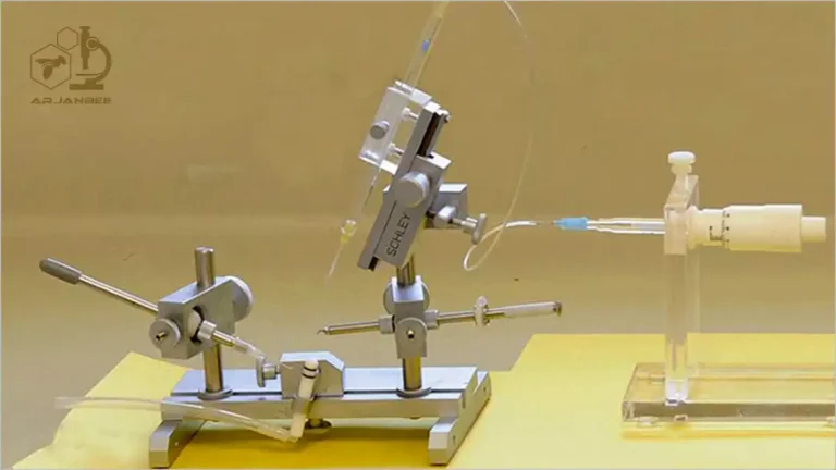 تلقيح مصنوعي ملکه