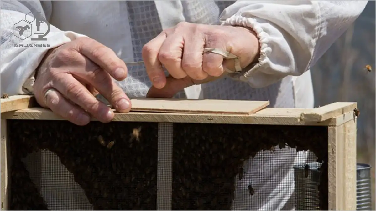 باز کردن یک بسته زنبور عسل