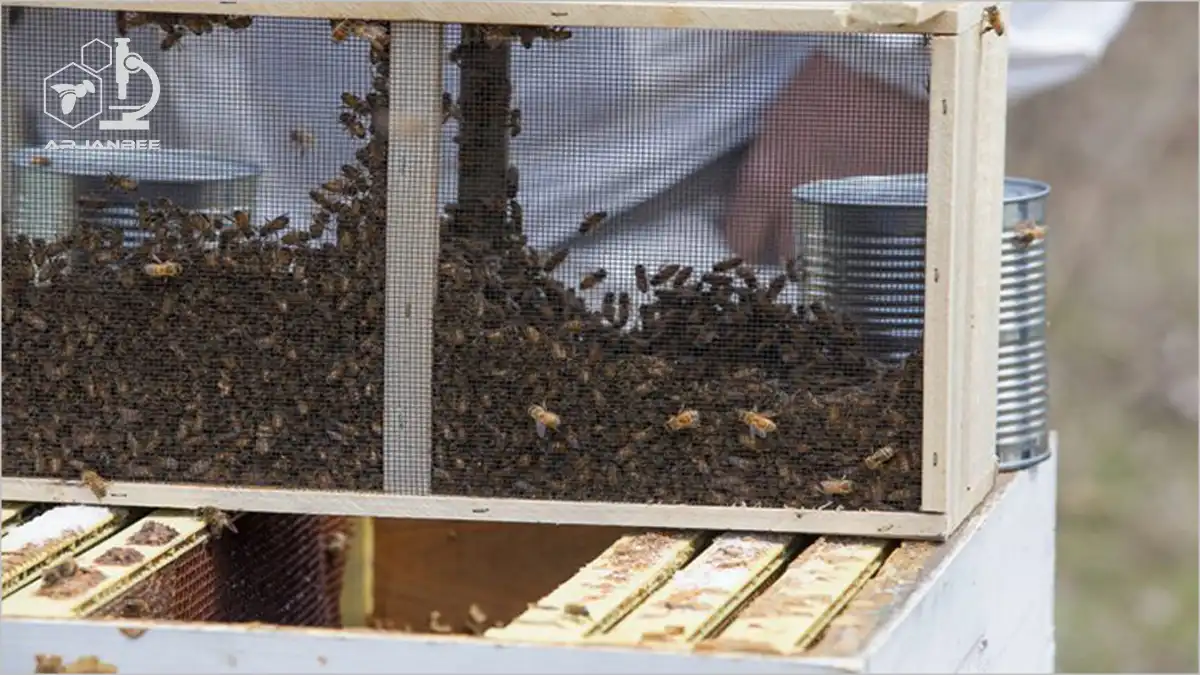 بسته بندی جعبه زنبور عسل