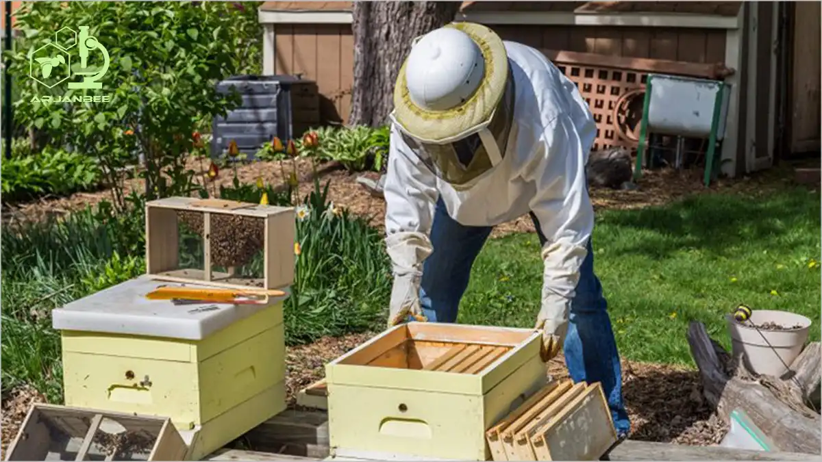 آماده سازی برای مستقر کردن یک بسته زنبور عسل