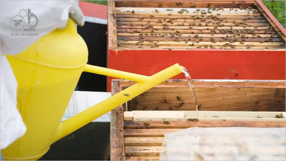 تغذیه تکمیلی پس از نصب زنبورهای بسته