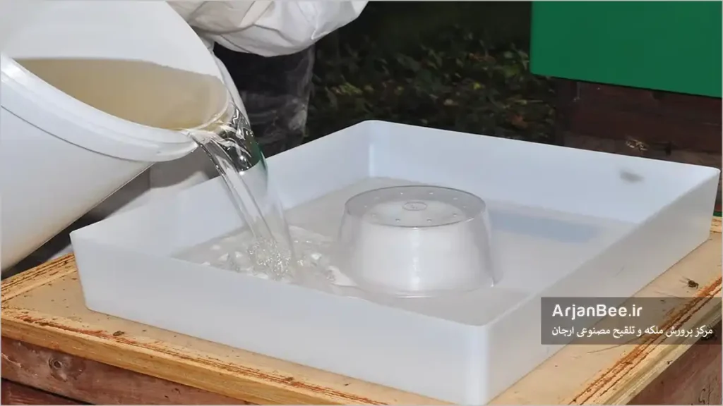 تغذیه کندو با شربت شکر