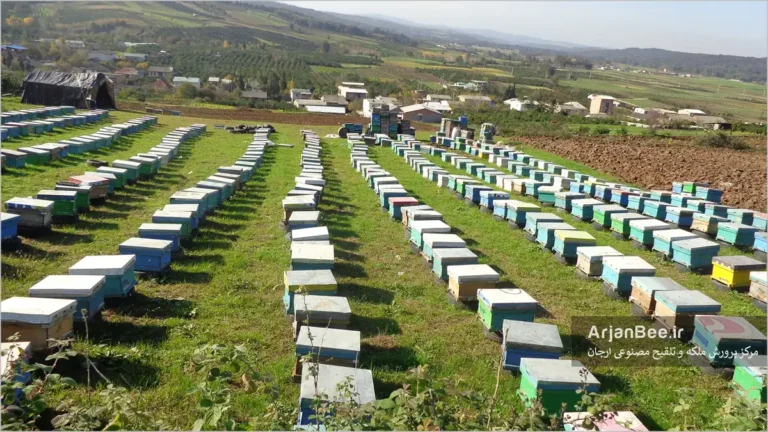 رﻋﺎﻳﺖ ﻧﮑﺎت ﻣﻬﻢ در اﺳﺘﻘﺮار ﮐﻨﺪو