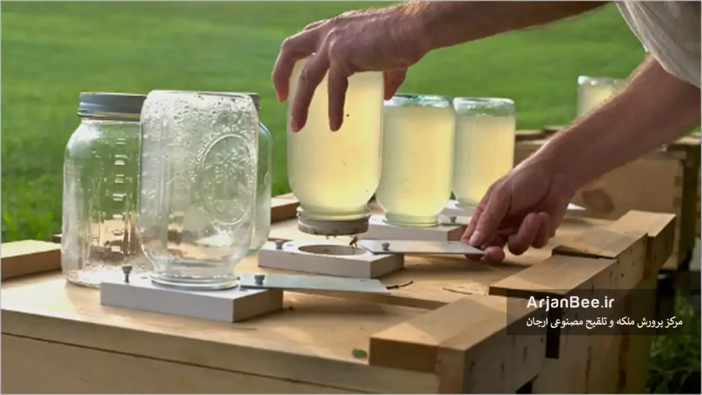 ارتباط بین تغذیه و عوامل بیماریزا