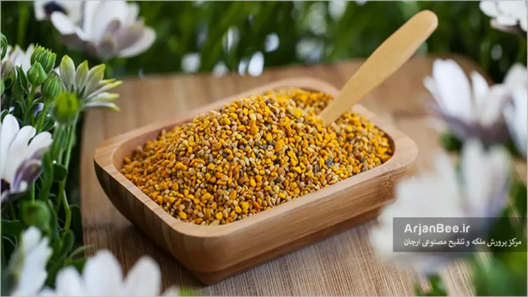گرده گل جمع آوری شده توسط زنبور عسل
