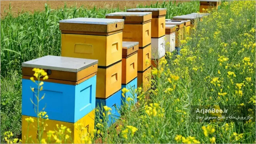 اضافه کردن طبقه عسل