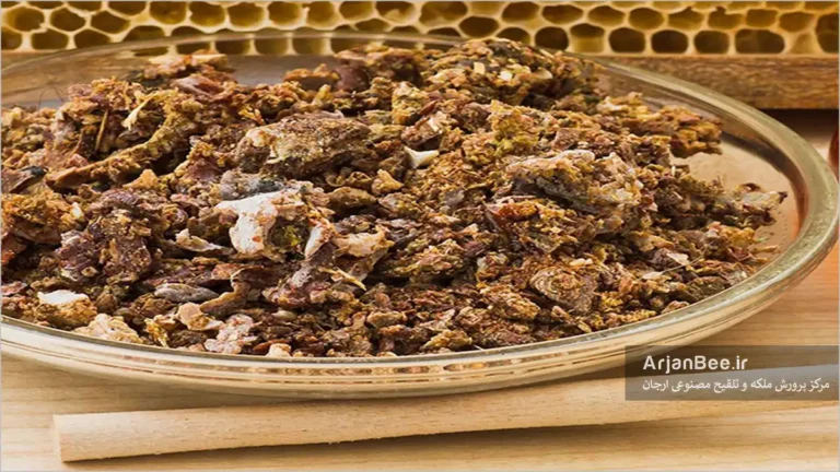 جمع آوری بره موم از زنبورهای عسل