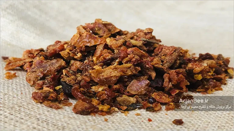 بره موم برداشت شده از کندوی زنبور عسل