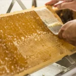 پولک برداری قاب عسل با چنگال