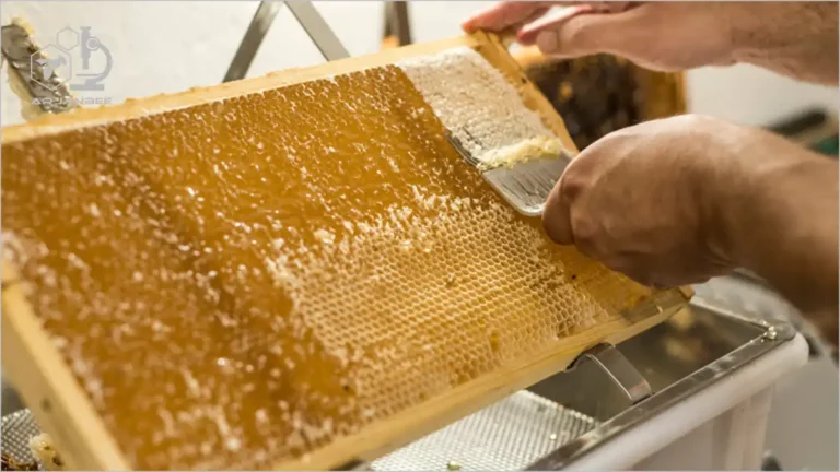 پولک برداری قاب عسل با چنگال