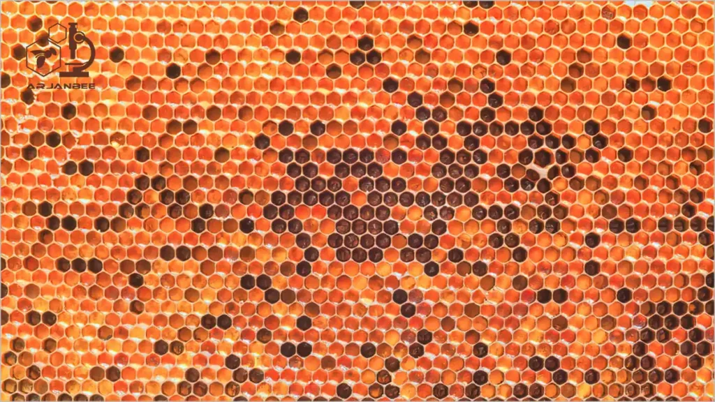 3 محصول که زنبورهای عسل هرگز جمع‌ آوری نمی‌کنند